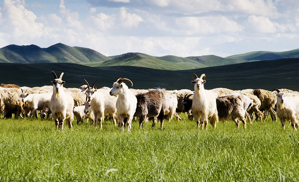 持續(xù)研發(fā)，自主專利